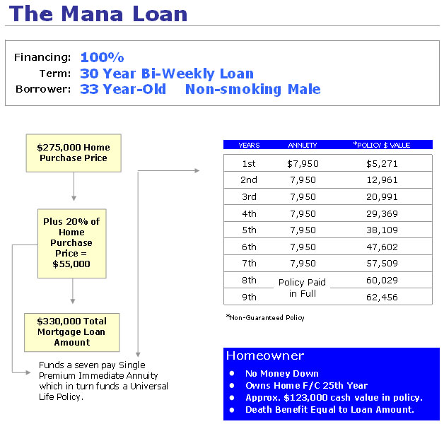 Mana Loan Structure Chart